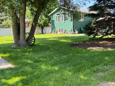 The Lawn Treatment Partnership: Your Role In Keeping Your North Dakota Lawn Thriving