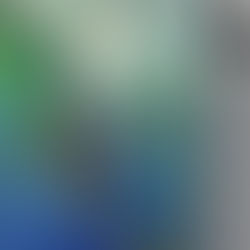 Offenes Atelier am Westensee