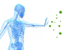 Autumn Immune Boosting Tips