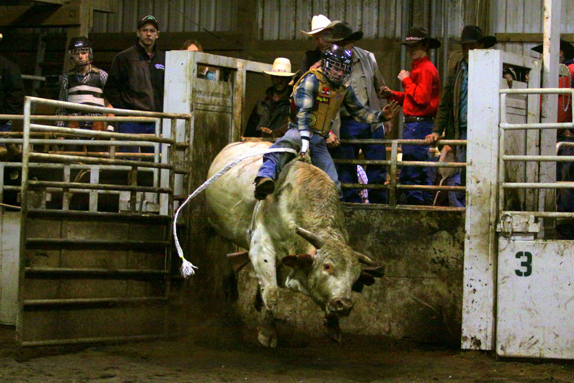 Bull Riding Supplies Action Photography Opportunity