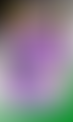 # Chapter 1
Panel 1: In a ballroom of the Divine, three gods are conversing. 
Blaze: "...So Freya, what do you say?"
Freya: "Makes me wonder why you're here."
Sylvia stands there, not particularly interested in their conversation, "Ms. Star trusts him as General while she's gone."

Panel 2: Skye Stormwalker moves some of her energy in a burst, Freya is heard, "Yeah...but why the claws and scales and....explosives?"

Panel 3: Skye teleports to the door of the ballroom, reaching for the door with a loud poof.

Panel 4: Seeing who is knocking, she grins and announces loudly, "Ladies, Gentlemen, Merciful Old Ones,"

Panel 5: Freya looks up as the announcement catches her attention, despite having a lot of mead in her system. "I present to you....the Crowned Prince."

Panel 6: Sapphron stands and bows in the doorway, behind him is Stalra, also bowing with all 5 eyes closed. "Sapphron Star and the Judge of all Stalra!"