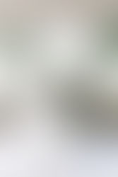 Laurell Hall | wedding Coordination | Kate & Austin