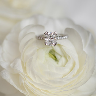 brides engagement ring sitting on top of a white rose