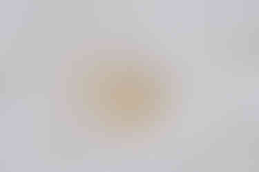 wedding rings for bride and groom