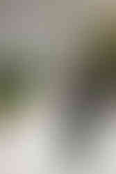 bride and groom outside looking at camera smiling