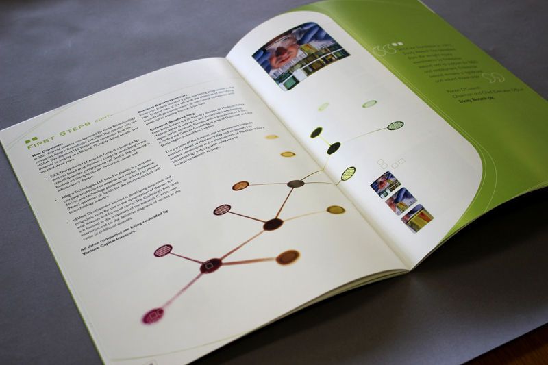 Enterprise Ireland Brochure