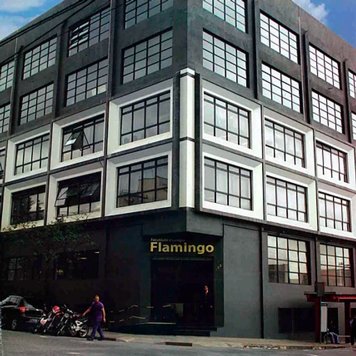 Colegio Flamingo Escola Na Lapa Sp Pochemu ya pozarilas na flamingo? colegio flamingo escola na lapa sp