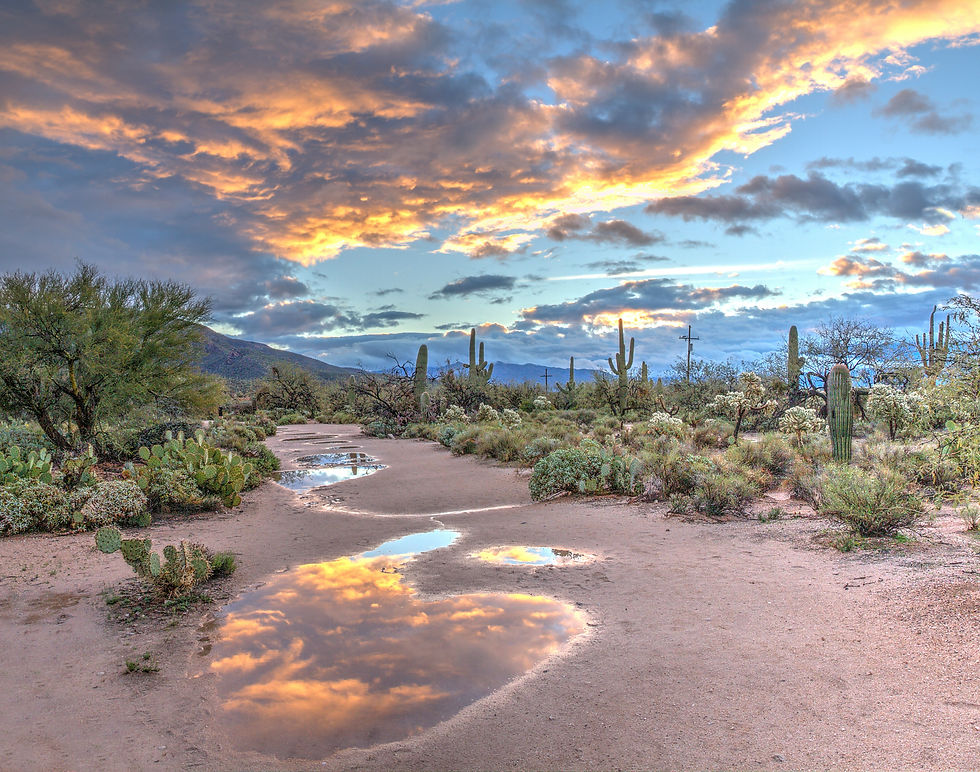 S Az scene.jpg