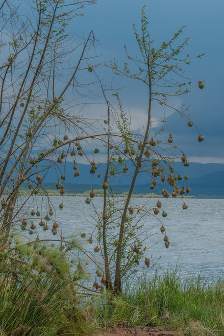 GB_Rwanda_2013-312.jpg