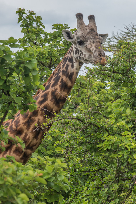 GB_Rwanda_2013-369.jpg