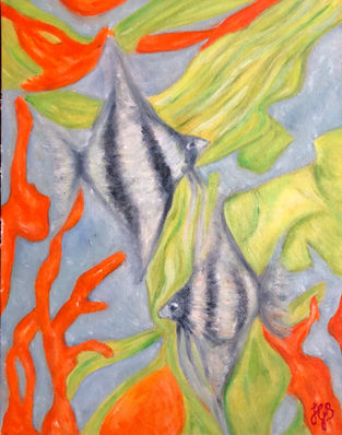 A pair of Angel fish