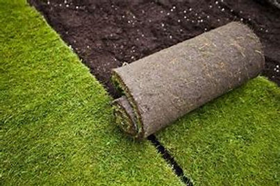 turf.jpg