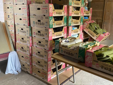 能登半島地震支援3月