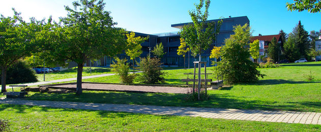 M0035.jpg