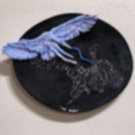 Plate 1.jpeg