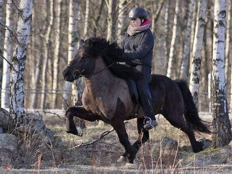 Vinteruppdatering