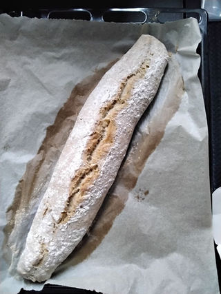 IC Nasi Calvino Moncalieri (3).jpeg