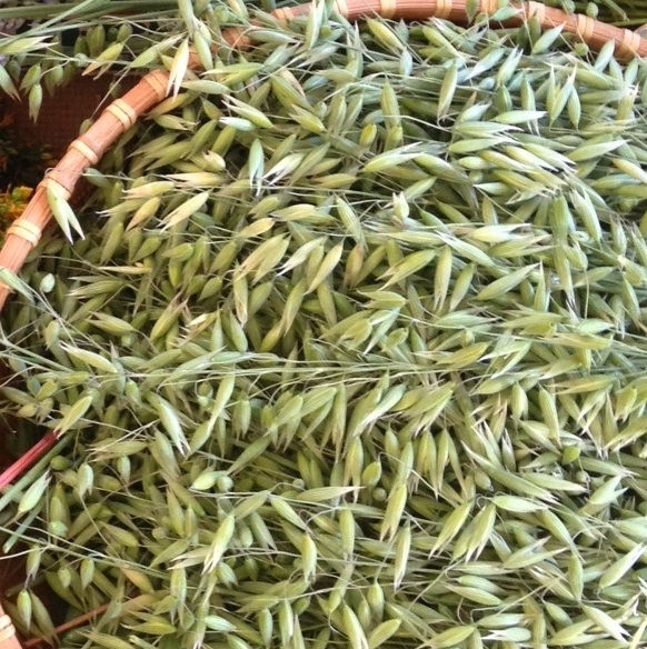 Thumbnail: Oat Tops - 1 oz