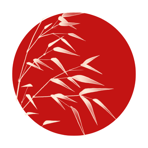 Writer: Ikigai Studio