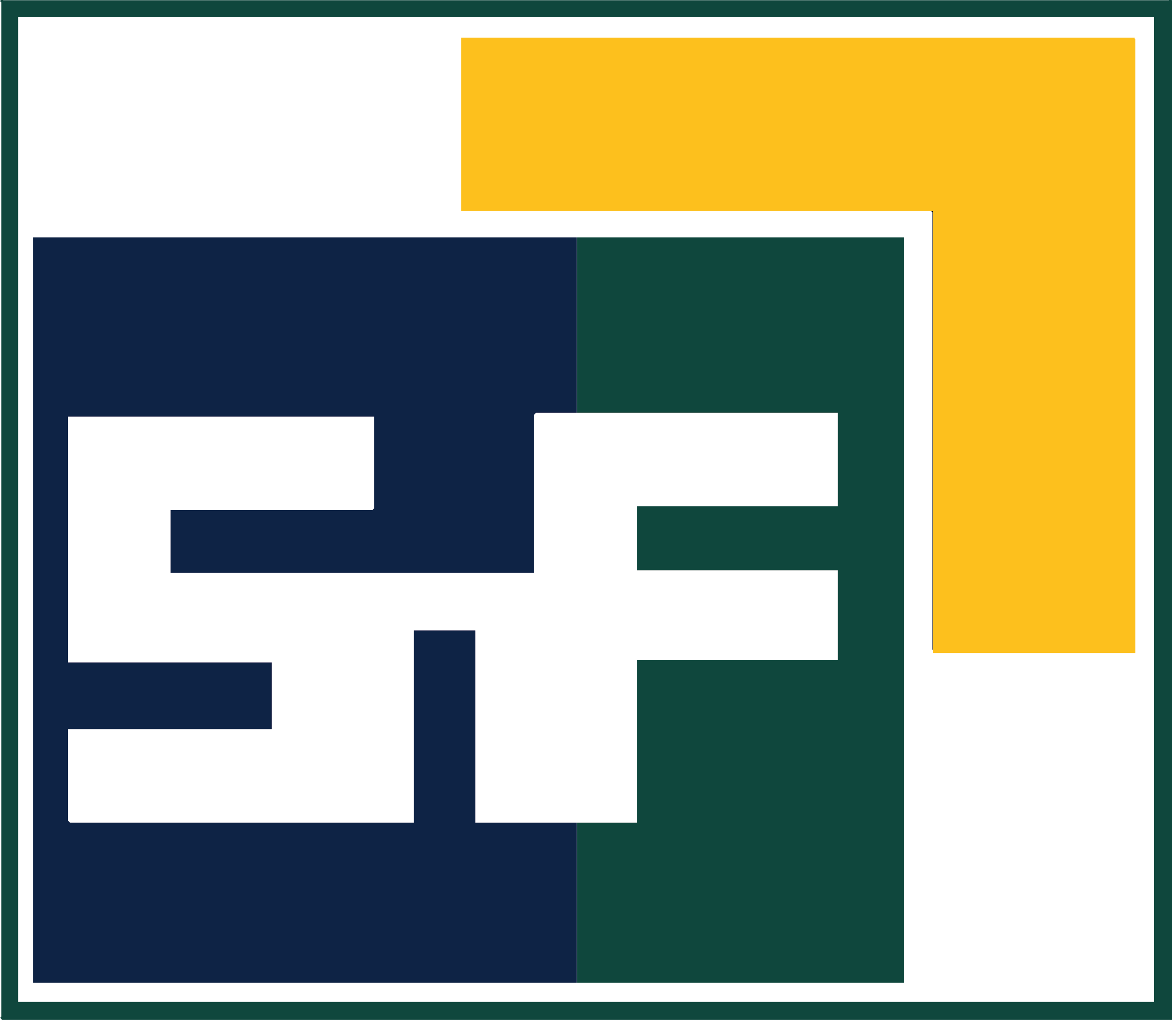 SNF logo with gold_favicon_transparent.png