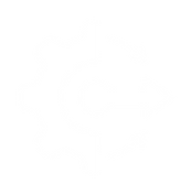 City Native Creative Digital Marketing 