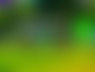 Operasjon Firkløver Spleis!