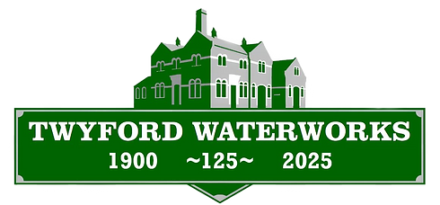 TWT green logo 125_edited.png