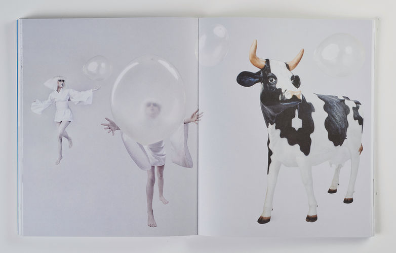 THE OOKLEBERRY TREE book main characters in one single image from the book