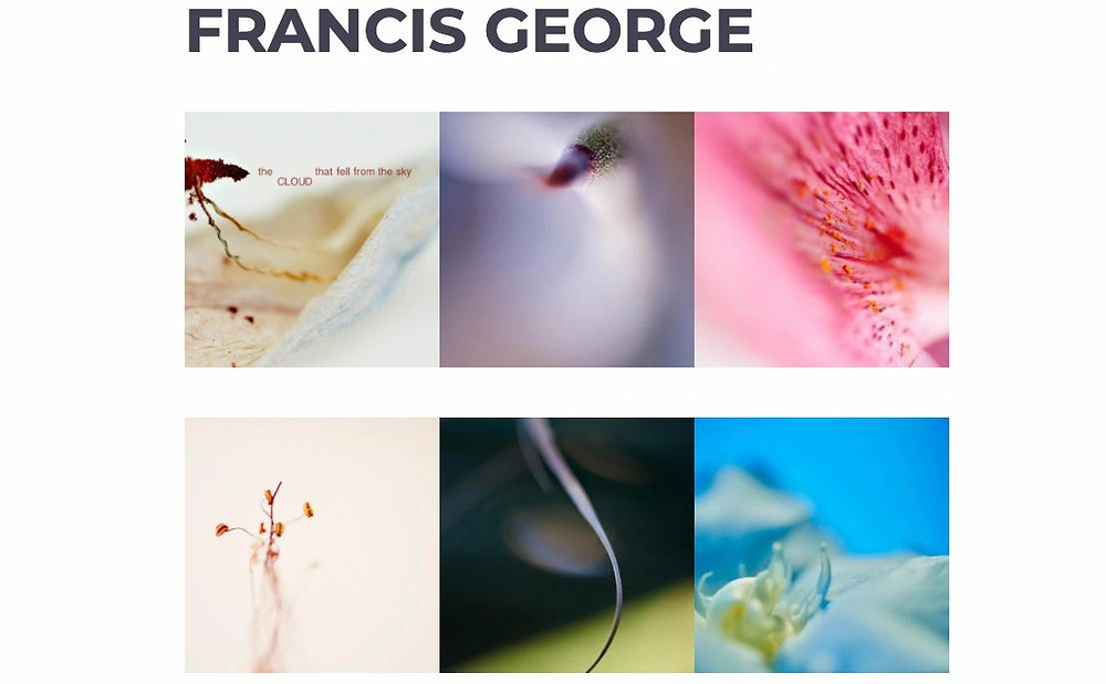 Francis George French Photographer feature in L.A. Arts Magazine BFLY Karol Pabon