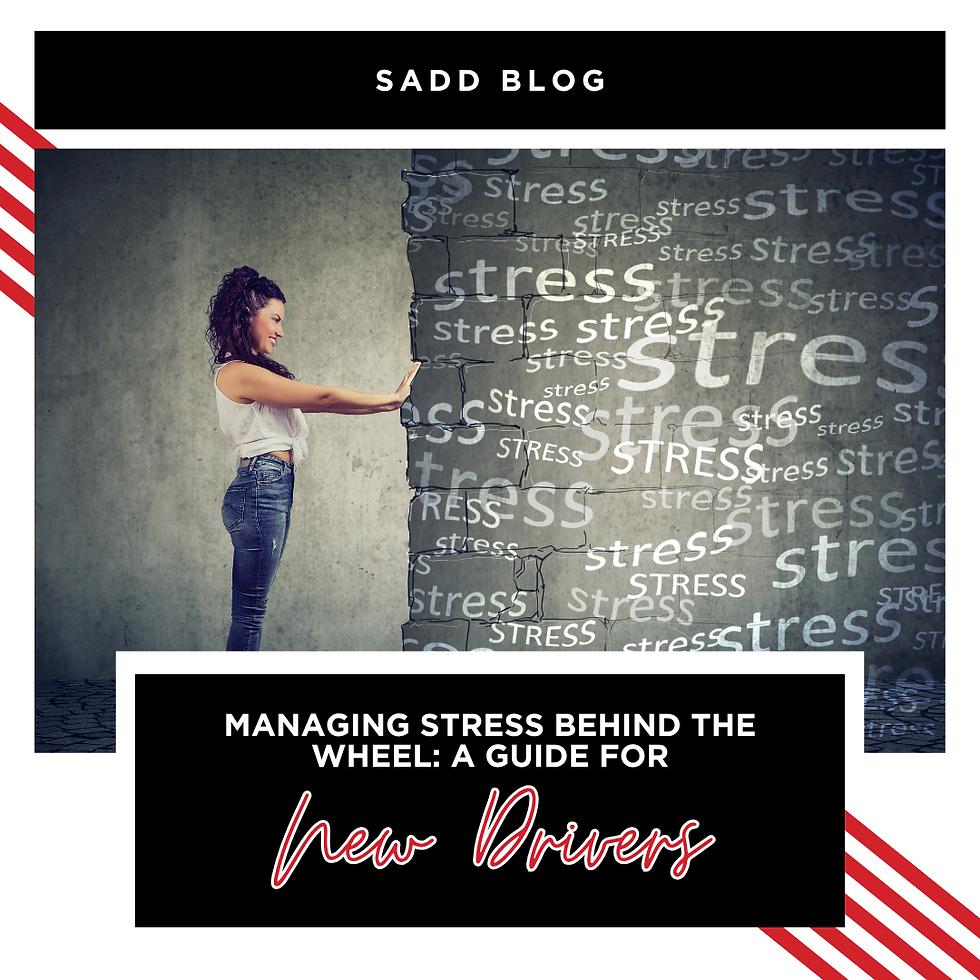 Managing Stress Behind the Wheel: A Guide for New Drivers