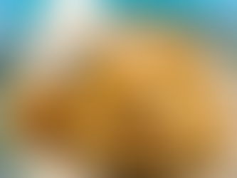 SOME STEPS TO BETTER ENGLISH