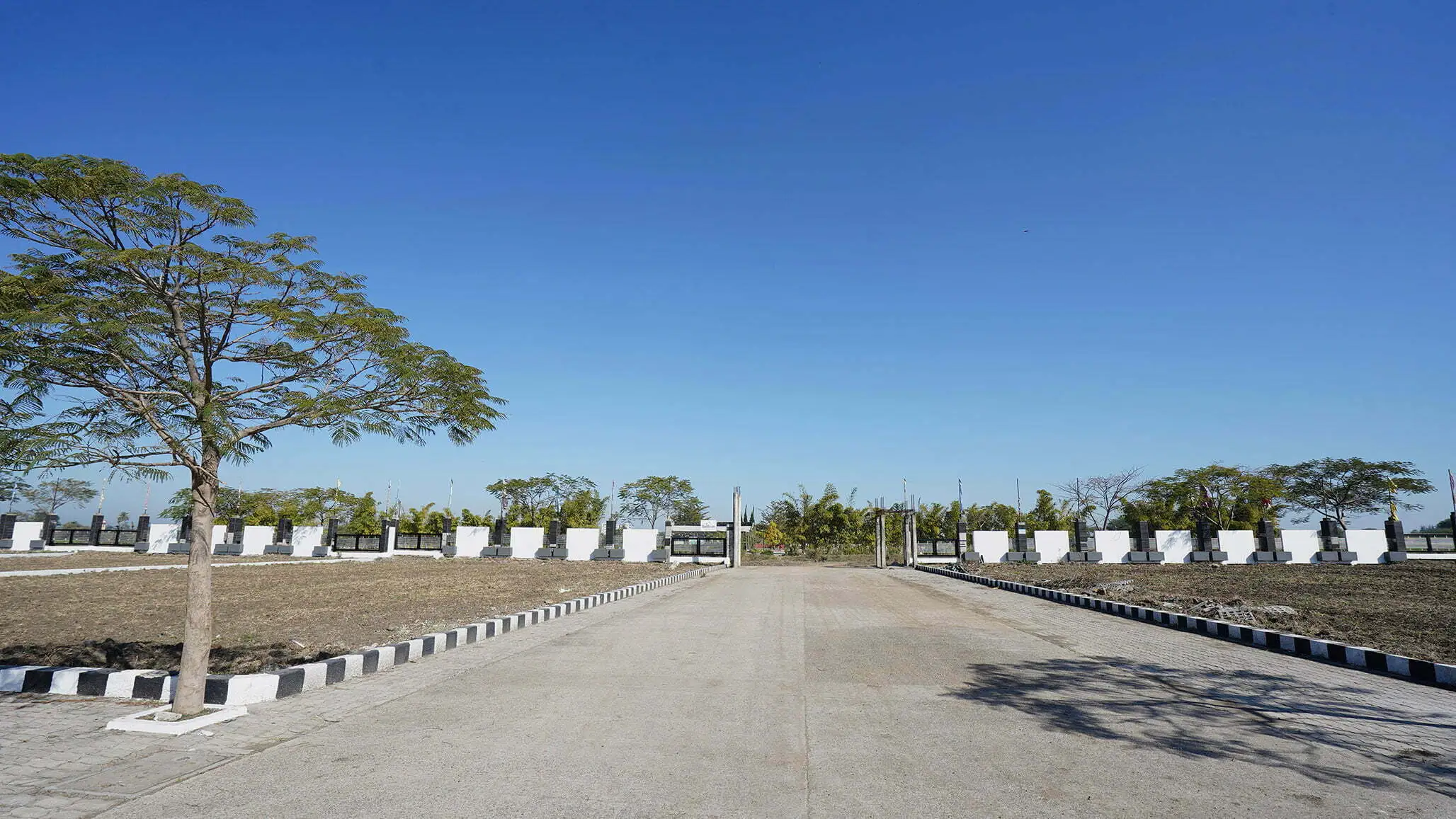 Solitaire Saakar Laabham Balaji Dham Subhlabh Kalyan Tirumala