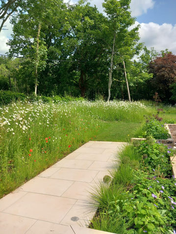 wildflower meadow planting creation maintenance mowing service chelmsford essex