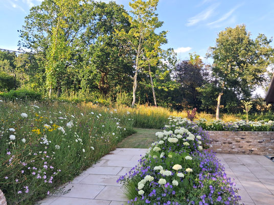 soft landscaping wildflower meadow planting design installation landscape gardening service contractor construction chelmsford essex