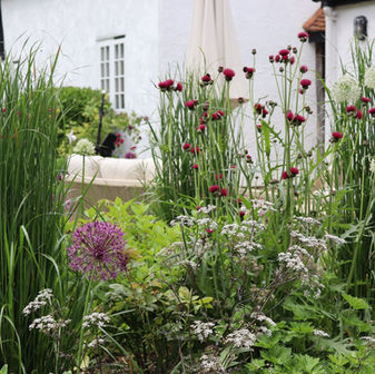 Cottage Garden Planting Design Installation Service Chelmsford Essex