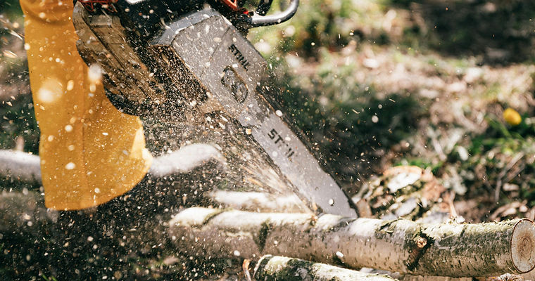 Tree & Stump Removals