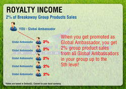 ROYALTY INCOME