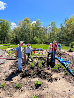 Pollinator Planting