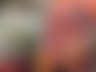 चन्दौसी में गणेशोत्सव का विहंगावलोकन।