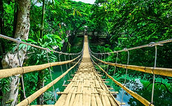 AdobeStock_116647352.jpeg