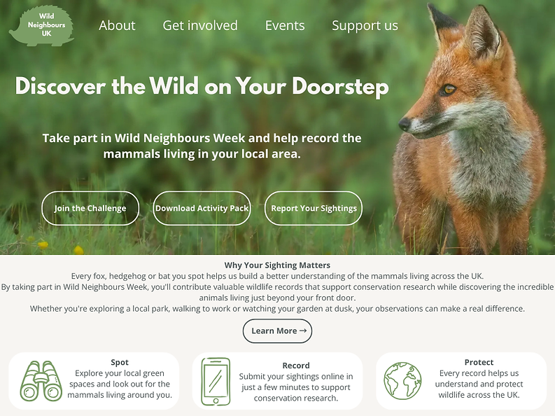 Website Landing Page.png