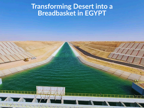 🌍 Egypt’s New Delta Project: Transforming Desert into a Breadbasket