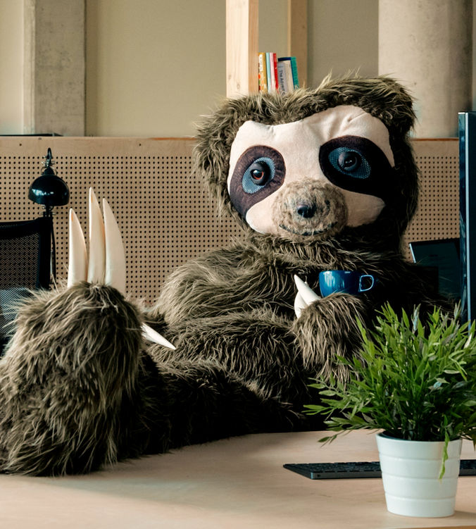 luiaard, op maat pak, brand video