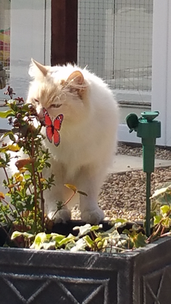 20160320_122053_edited