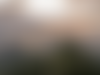 Private Aviation in Rio de Janeiro: Where Luxury Meets Logistics