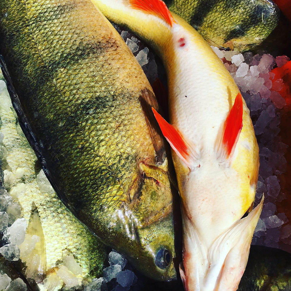 Une vie de pêcheur