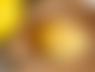 和歌山スイーツ王。原点へ帰る。