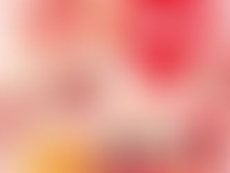 まさかの、半額！！！！！