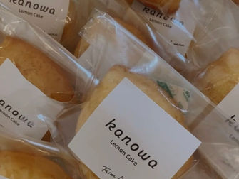 スタンダード、入荷いたしました　(*•∨• )♡