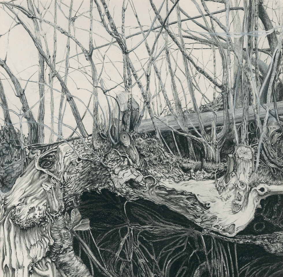 Ash and Elder Hedge